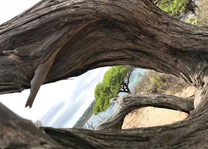 Casa Totti Vue Avec Piscine * ポルトヴェッキオ