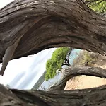 Casa Totti Vue Avec Piscine * Porto-Vecchio (Corsica)