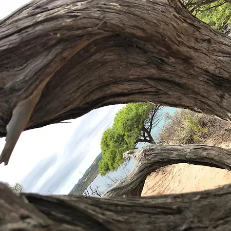Casa Totti Vue Avec Piscine * Porto-Vecchio (Corsica)